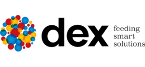 DEX IBERICA S.A. DEX IBERICA S.A.