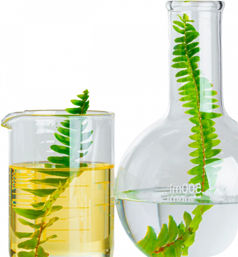 Quiénes Somos Quiénes Somos