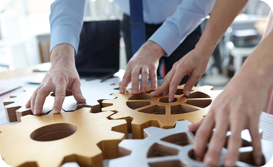 Organización Organización